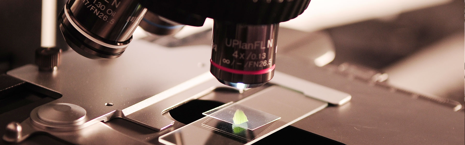 NUESTROS ACADÉMICOS